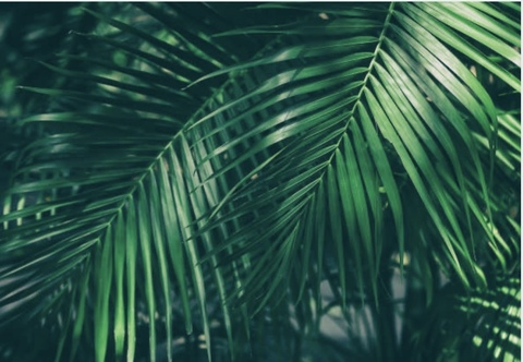 twerkyyc OnlyFans - Free Access to 32 Videos & 49 Photos Onlyfans Free Access