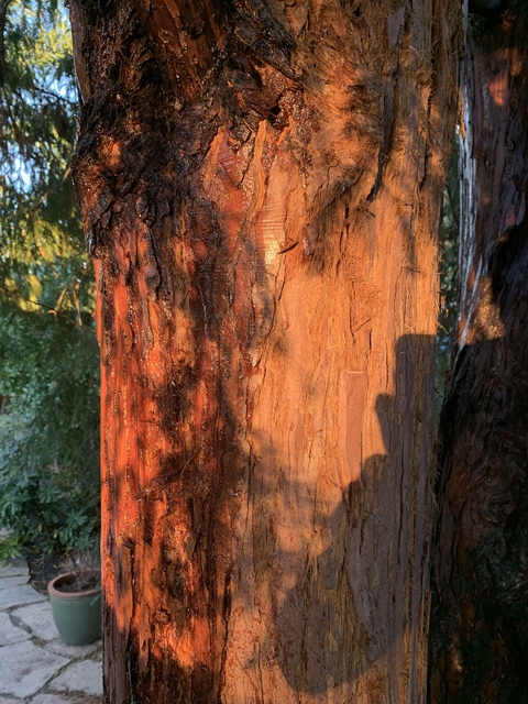 tydur586 OnlyFans - Free Access to 32 Videos & 49 Photos Onlyfans Free Access