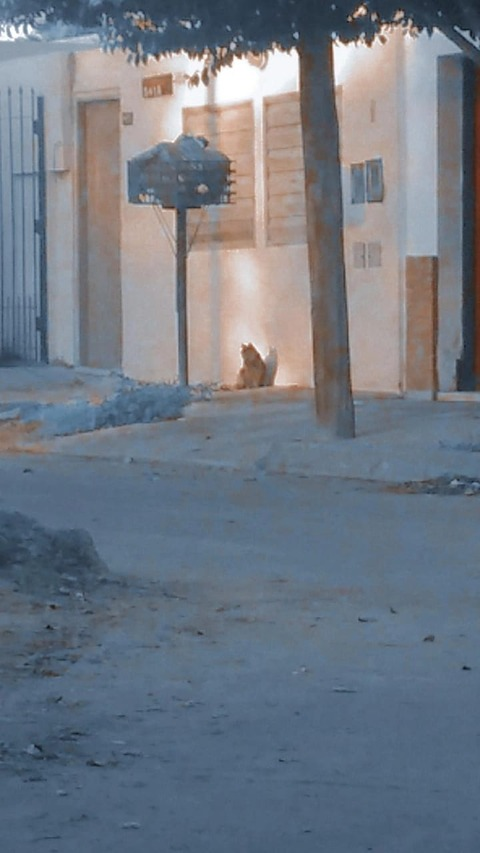 u107869947 OnlyFans - Free Access to 32 Videos & 49 Photos Onlyfans Free Access