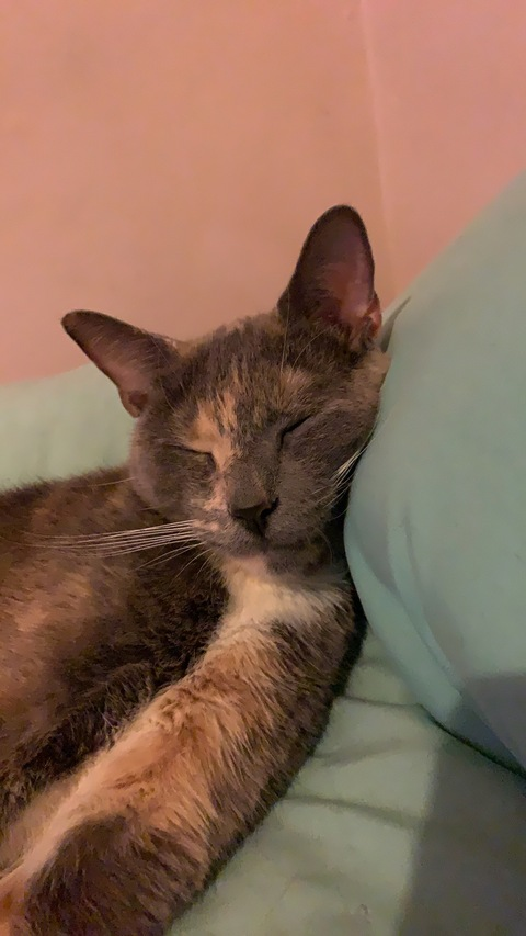 u109381147 OnlyFans - Free Access to 32 Videos & 49 Photos Onlyfans Free Access