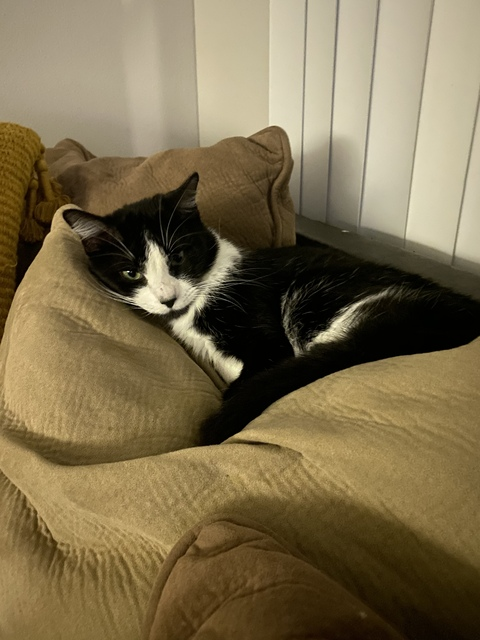 u137130650 OnlyFans - Free Access to 32 Videos & 49 Photos Onlyfans Free Access