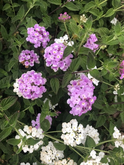 u149823281 OnlyFans - Free Access to 32 Videos & 49 Photos Onlyfans Free Access