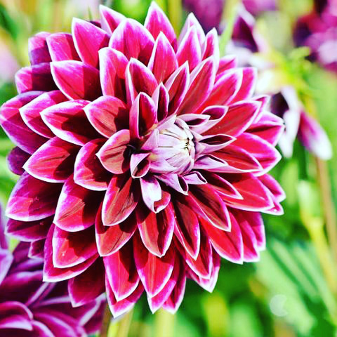 u161256781 OnlyFans - Free Access to 930 Videos & 1484 Photos Onlyfans Free Access