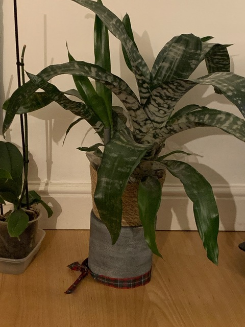 u258487001 OnlyFans - Free Access to 32 Videos & 49 Photos Onlyfans Free Access