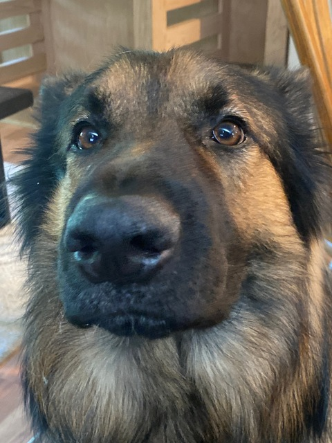 u270752766 OnlyFans - Free Access to 32 Videos & 49 Photos Onlyfans Free Access