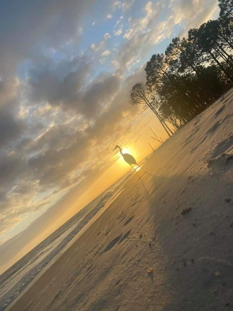 u275416648 OnlyFans - Free Access to 32 Videos & 49 Photos Onlyfans Free Access