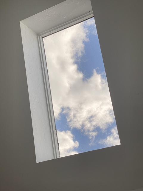 venus_inreverse OnlyFans - Free Access to 35 Videos & 87 Photos Onlyfans Free Access