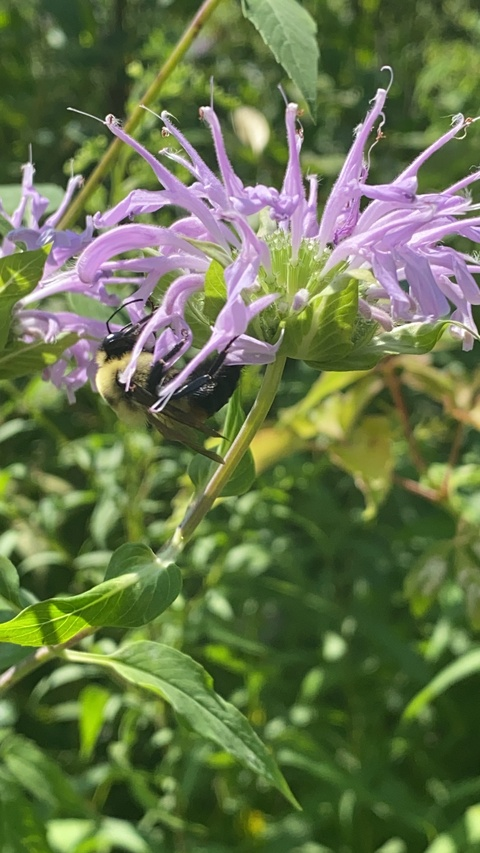 verysweetvieve OnlyFans - Free Access to 32 Videos & 49 Photos Onlyfans Free Access