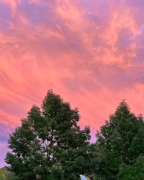 whoisgamorraa OnlyFans - Free Access to 32 Videos & 49 Photos Onlyfans Free Access