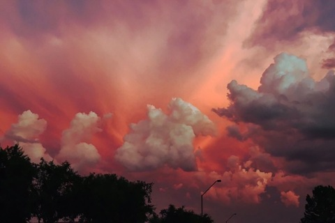 willhelmet OnlyFans - Free Access to 32 Videos & 49 Photos Onlyfans Free Access