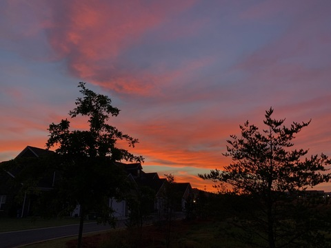 winni3thebunnie OnlyFans - Free Access to 32 Videos & 49 Photos Onlyfans Free Access