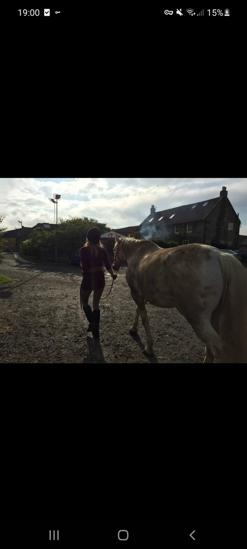 wolfchick OnlyFans - Free Access to 32 Videos & 49 Photos Onlyfans Free Access