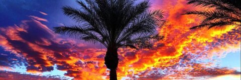 xantixx OnlyFans - Free Access to 32 Videos & 49 Photos Onlyfans Free Access