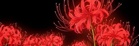 xclusivemelanin OnlyFans - Free Access to 32 Videos & 459 Photos Onlyfans Free Access