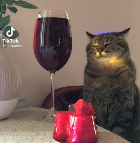 xemai0028 OnlyFans - Free Access to 32 Videos & 49 Photos Onlyfans Free Access