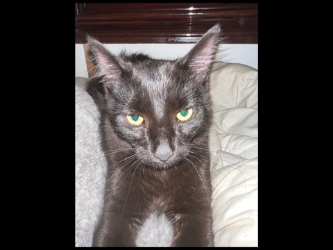 xkylie.xo OnlyFans - Free Access to 32 Videos & 49 Photos Onlyfans Free Access