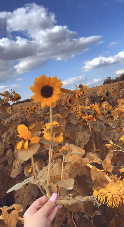 xxprembabexx OnlyFans - Free Access to 32 Videos & 49 Photos Onlyfans Free Access