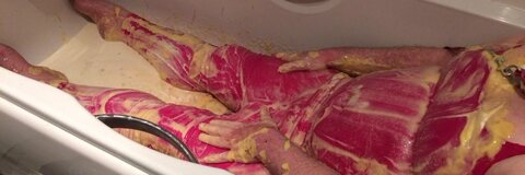 xxsissyslavexx OnlyFans - Free Access to 32 Videos & 49 Photos Onlyfans Free Access