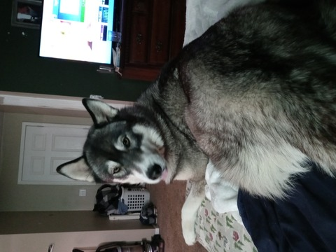 yaya142 OnlyFans - Free Access to 32 Videos & 49 Photos Onlyfans Free Access