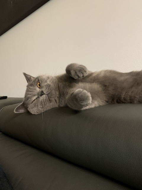 yourasianminx OnlyFans - Free Access to 33 Videos & 312 Photos Onlyfans Free Access