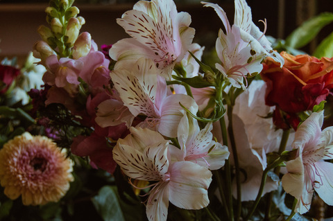 yuccaverde OnlyFans - Free Access to 32 Videos & 101 Photos Onlyfans Free Access